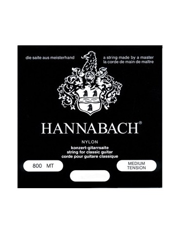 Muta corde chitarra...