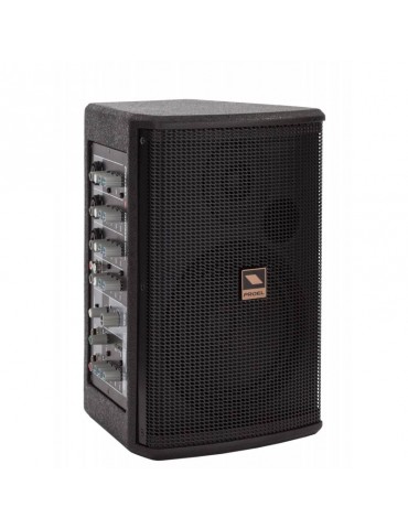 Cassa Acustica PROEL...