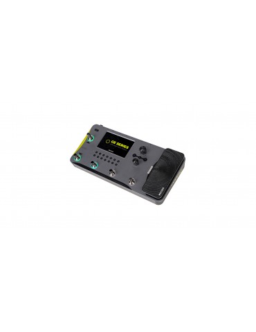 GE1000 MOOER Multieffetto voce