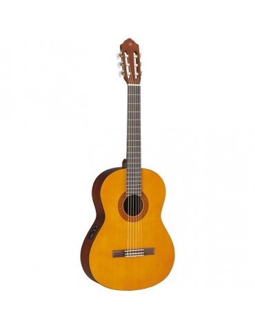 Chitarra classica...